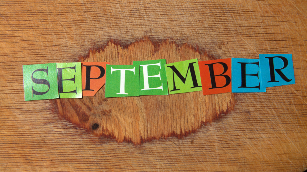 Microsoft Rewards Daily Quiz Microsoft Rewards Daily Set Quiz Answers: September 2026