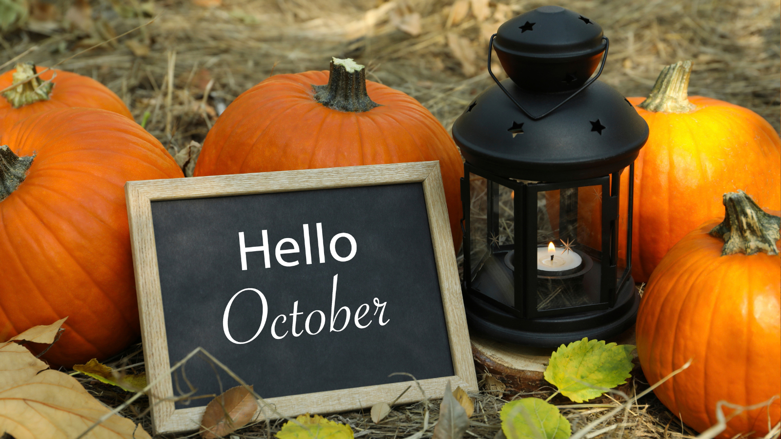 Microsoft Rewards Daily Set Quiz Answers: October 2026